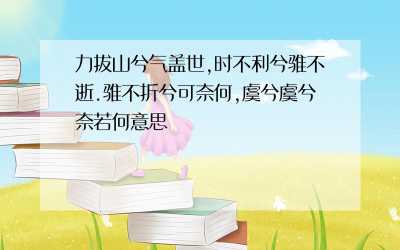 力拔山兮气盖世,时不利兮骓不逝.骓不折兮可奈何,虞兮虞兮奈若何意思