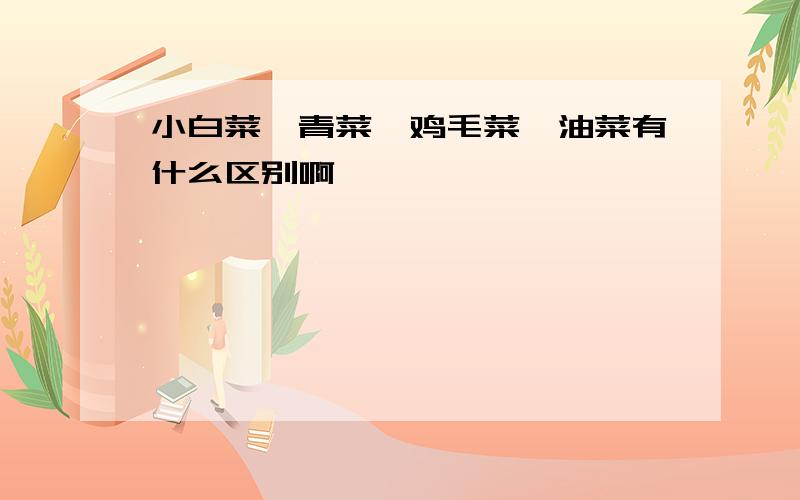 小白菜、青菜、鸡毛菜、油菜有什么区别啊