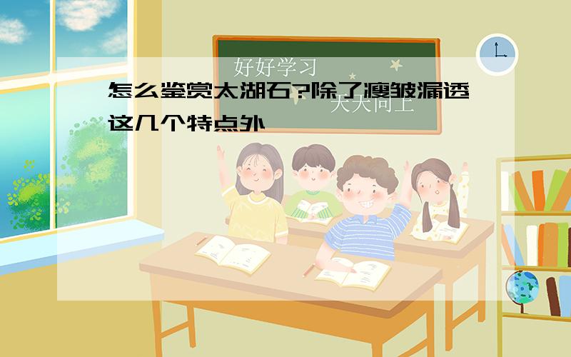 怎么鉴赏太湖石?除了瘦皱漏透这几个特点外