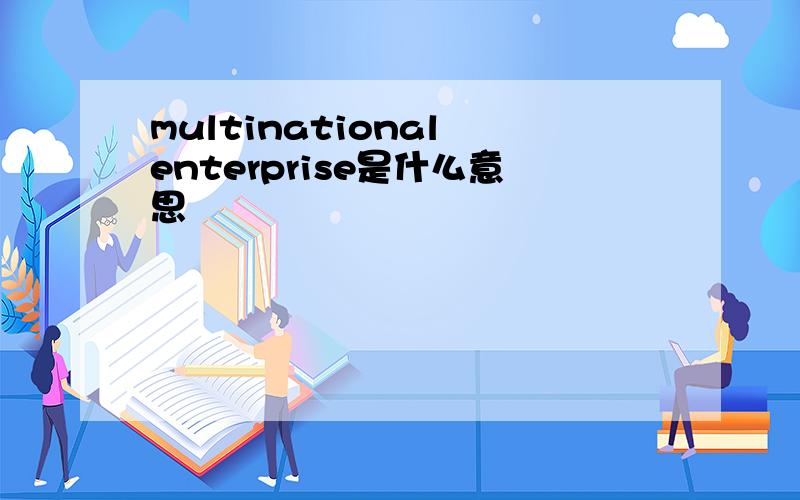 multinational enterprise是什么意思