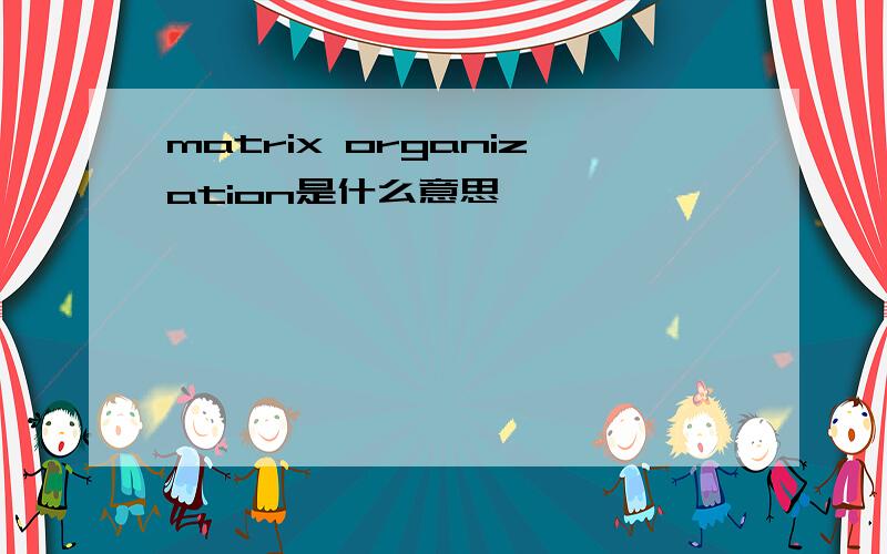 matrix organization是什么意思