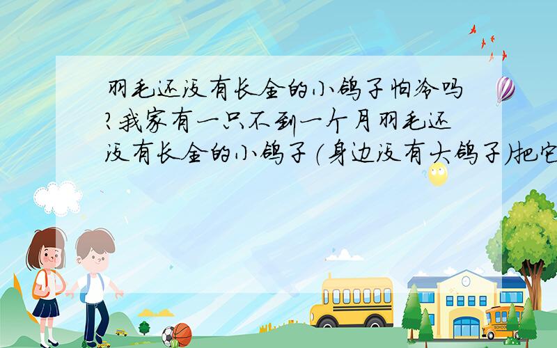 羽毛还没有长全的小鸽子怕冷吗?我家有一只不到一个月羽毛还没有长全的小鸽子（身边没有大鸽子）把它放在厨房（比较阴冷）小鸽子能受的了吗?这时的小鸽子能喝水吗?