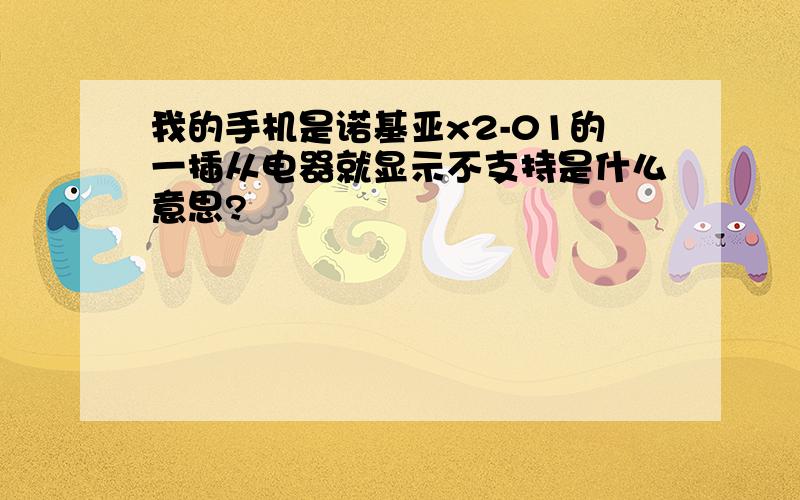 我的手机是诺基亚x2-01的一插从电器就显示不支持是什么意思?