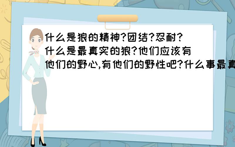 什么是狼的精神?团结?忍耐?什么是最真实的狼?他们应该有他们的野心,有他们的野性吧?什么事最真实的狼的精神?