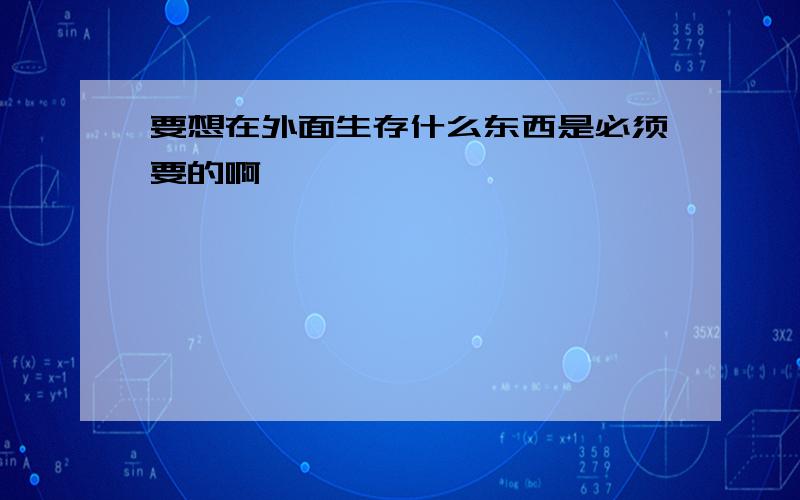 要想在外面生存什么东西是必须要的啊