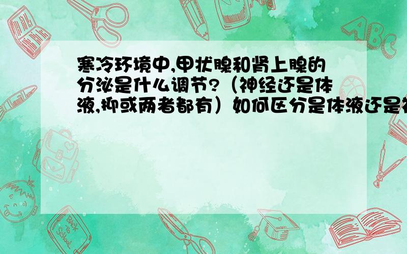 寒冷环境中,甲状腺和肾上腺的分泌是什么调节?（神经还是体液,抑或两者都有）如何区分是体液还是神经调节