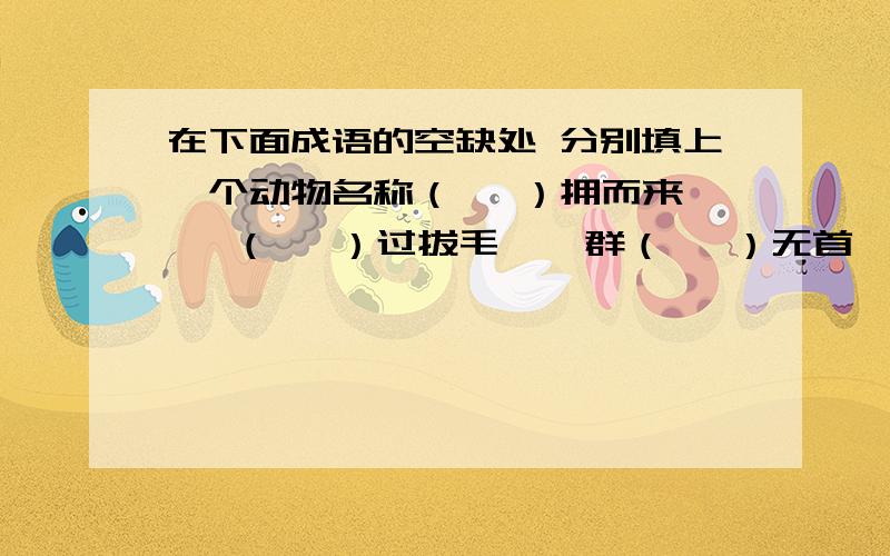 在下面成语的空缺处 分别填上一个动物名称（   ）拥而来   （   ）过拔毛    群（   ）无首     爱屋及（   ） 尖嘴（   ）腮   脱缰之（   ）