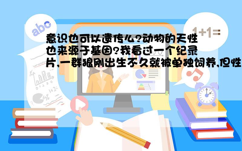 意识也可以遗传么?动物的天性也来源于基因?我看过一个纪录片,一群狼刚出生不久就被单独饲养,但性成熟后依然懂得如何进行交配.可以肯定的是,狼的这种交配行为并不是无意识行为.也不是