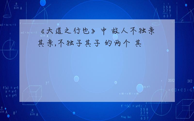 《大道之行也》中 故人不独亲其亲,不独子其子 的两个 其