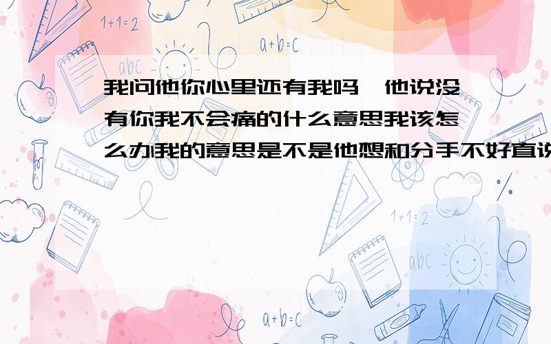 我问他你心里还有我吗,他说没有你我不会痛的什么意思我该怎么办我的意思是不是他想和分手不好直说；我问他心里有没有我,