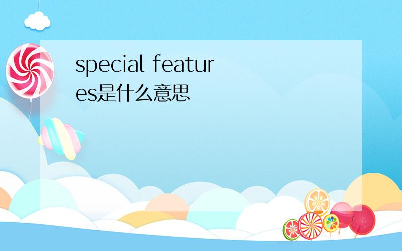 special features是什么意思