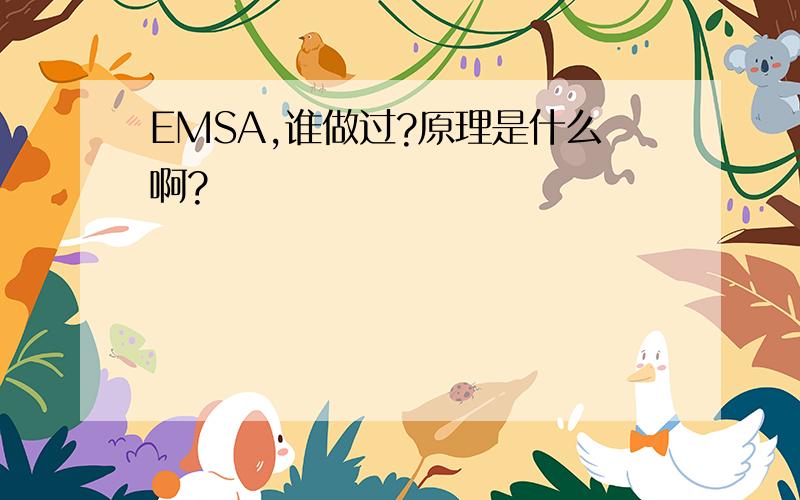 EMSA,谁做过?原理是什么啊?