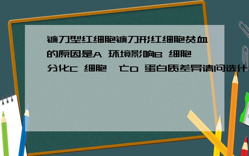 镰刀型红细胞镰刀形红细胞贫血的原因是A 环境影响B 细胞分化C 细胞凋亡D 蛋白质差异请问选什么,为什么,