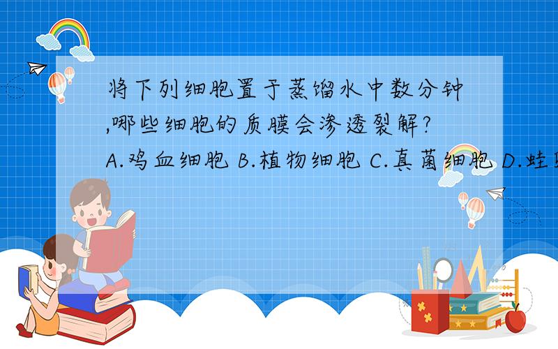 将下列细胞置于蒸馏水中数分钟,哪些细胞的质膜会渗透裂解?A.鸡血细胞 B.植物细胞 C.真菌细胞 D.蛙卵细胞