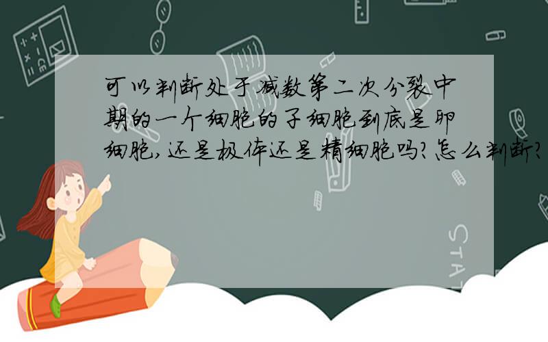 可以判断处于减数第二次分裂中期的一个细胞的子细胞到底是卵细胞,还是极体还是精细胞吗?怎么判断?