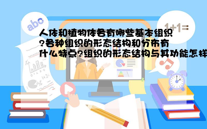 人体和植物体各有哪些基本组织?各种组织的形态结构和分布有什么特点?组织的形态结构与其功能怎样适应?