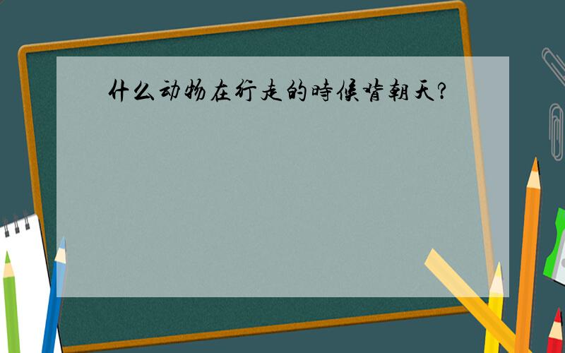 什么动物在行走的时候背朝天?