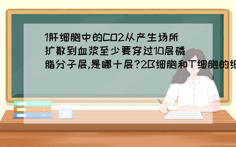 1肝细胞中的CO2从产生场所扩散到血浆至少要穿过10层磷脂分子层,是哪十层?2B细胞和T细胞的细胞外液为什么是淋巴和血浆,而不是淋巴和组织液?