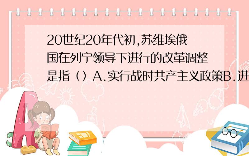 20世纪20年代初,苏维埃俄国在列宁领导下进行的改革调整是指（）A.实行战时共产主义政策B.进行五年计划建设C.推行农业集体化运动D.实行新经济政策