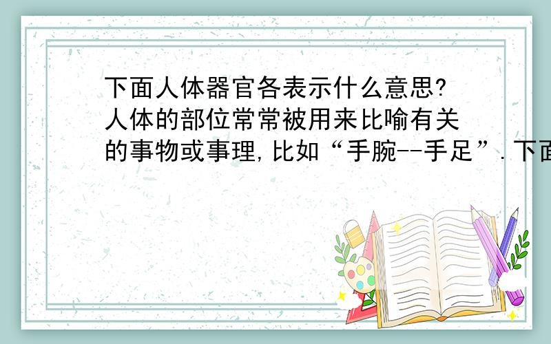 下面人体器官各表示什么意思?人体的部位常常被用来比喻有关的事物或事理,比如“手腕--手足”.下面这些人体部位各表示什么意思?心血手头脊梁