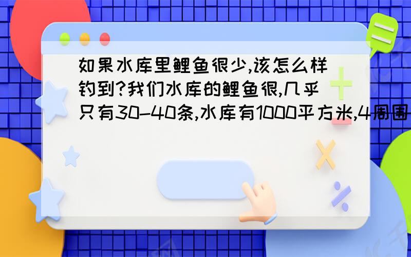 如果水库里鲤鱼很少,该怎么样钓到?我们水库的鲤鱼很,几乎只有30-40条,水库有1000平方米,4周围向中心凹下.呈斜坡,该怎么钓啊?