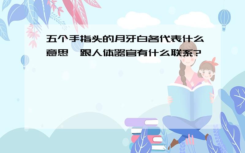 五个手指头的月牙白各代表什么意思,跟人体器官有什么联系?