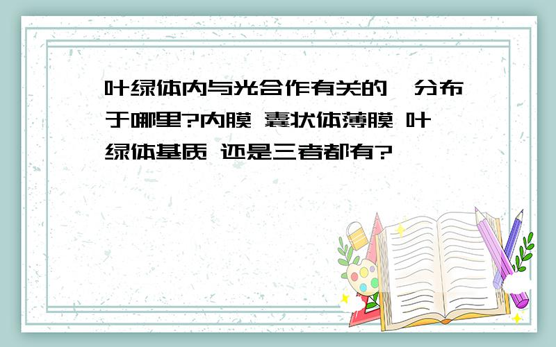 叶绿体内与光合作有关的酶分布于哪里?内膜 囊状体薄膜 叶绿体基质 还是三者都有?