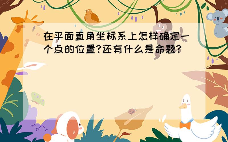 在平面直角坐标系上怎样确定一个点的位置?还有什么是命题?