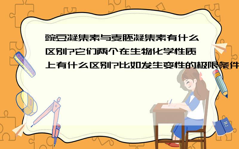 豌豆凝集素与麦胚凝集素有什么区别?它们两个在生物化学性质上有什么区别?比如发生变性的极限条件?