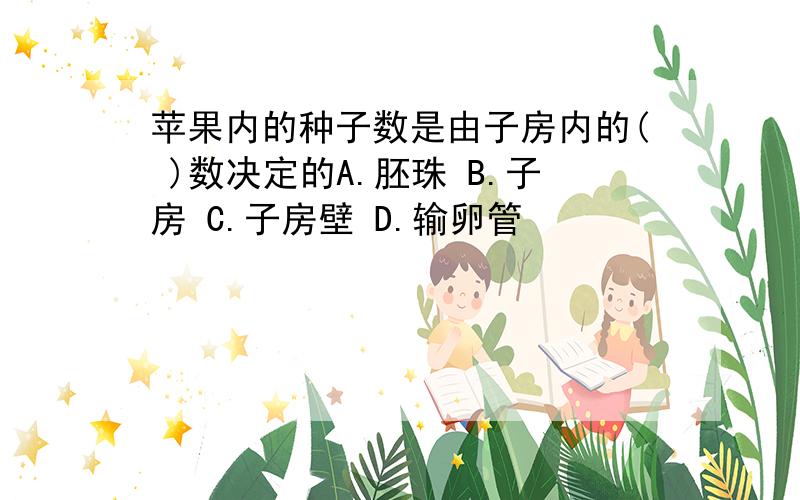 苹果内的种子数是由子房内的( )数决定的A.胚珠 B.子房 C.子房壁 D.输卵管