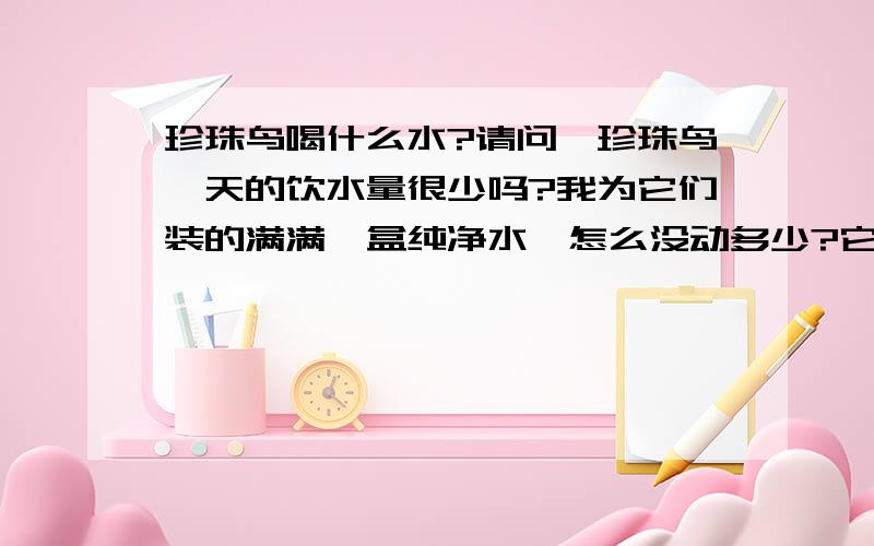 珍珠鸟喝什么水?请问,珍珠鸟一天的饮水量很少吗?我为它们装的满满一盒纯净水,怎么没动多少?它们食量不错,吃得很多,可是它们不干,不渴吗?还是不喜欢喝纯净水?难道要喝自来水管里的生水