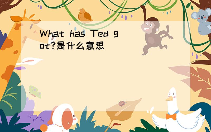 What has Ted got?是什么意思