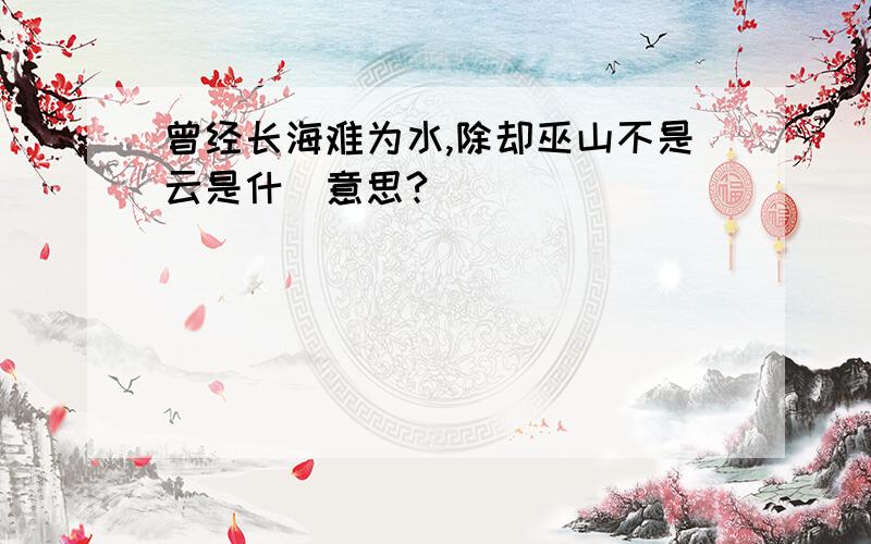 曾经长海难为水,除却巫山不是云是什麼意思?