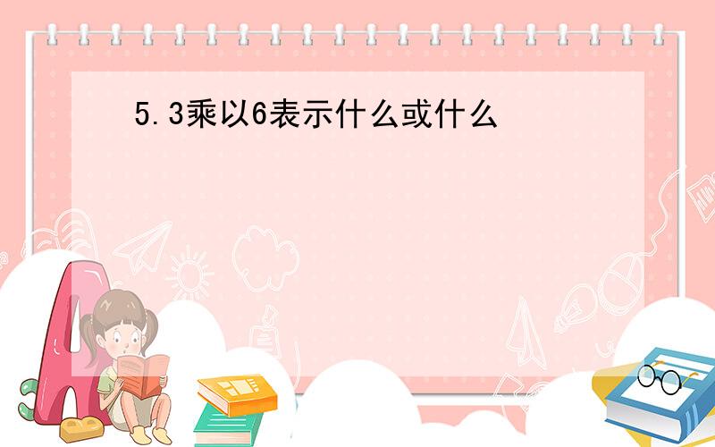 5.3乘以6表示什么或什么