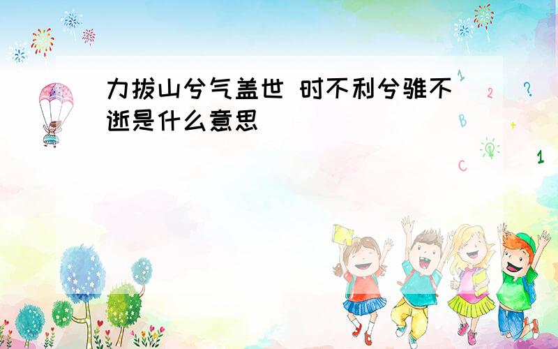 力拔山兮气盖世 时不利兮骓不逝是什么意思