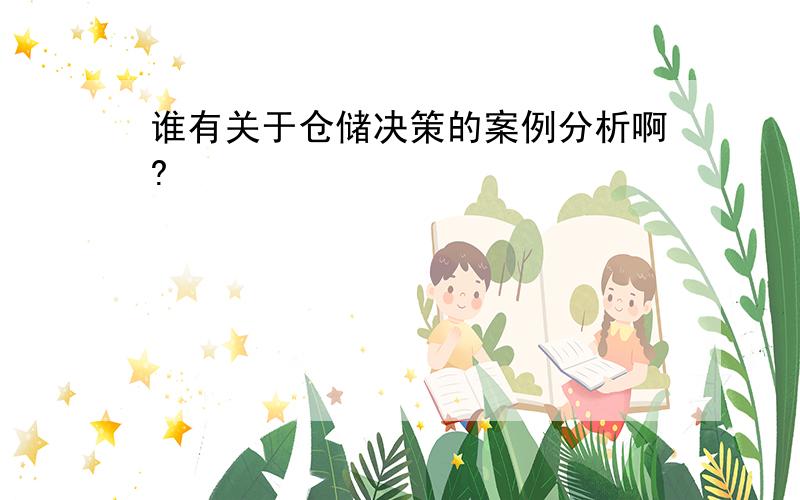 谁有关于仓储决策的案例分析啊?