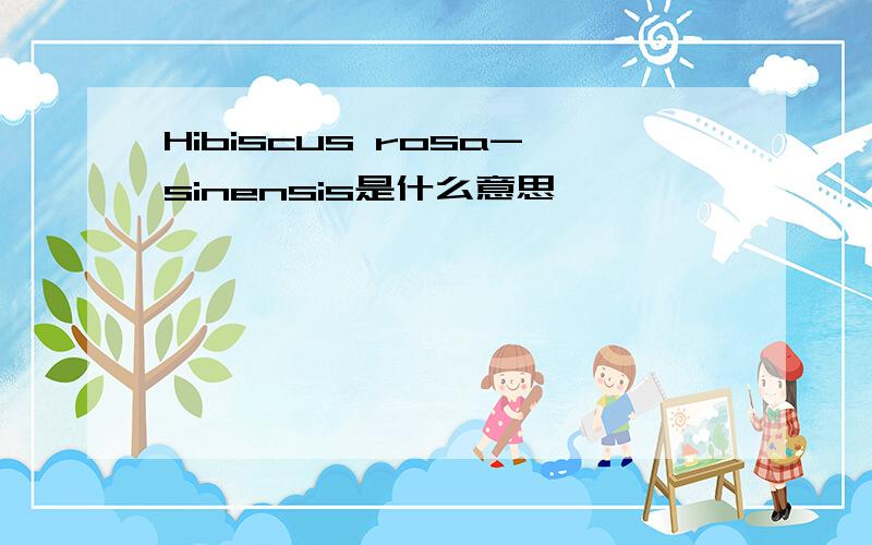 Hibiscus rosa-sinensis是什么意思