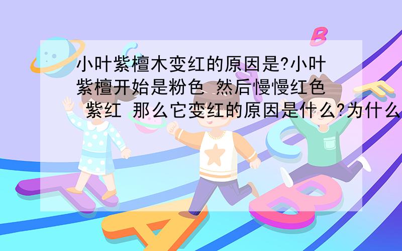 小叶紫檀木变红的原因是?小叶紫檀开始是粉色 然后慢慢红色 紫红 那么它变红的原因是什么?为什么时间越长 颜色越深?有什么方法能更有助于它变深紫红呢?