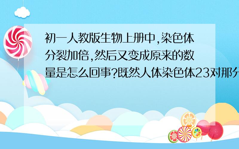 初一人教版生物上册中,染色体分裂加倍,然后又变成原来的数量是怎么回事?既然人体染色体23对那分裂以后为什么还是23对,分裂又变回一样的数量是怎么回事?