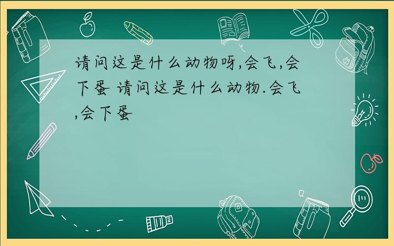 请问这是什么动物呀,会飞,会下蛋 请问这是什么动物.会飞,会下蛋