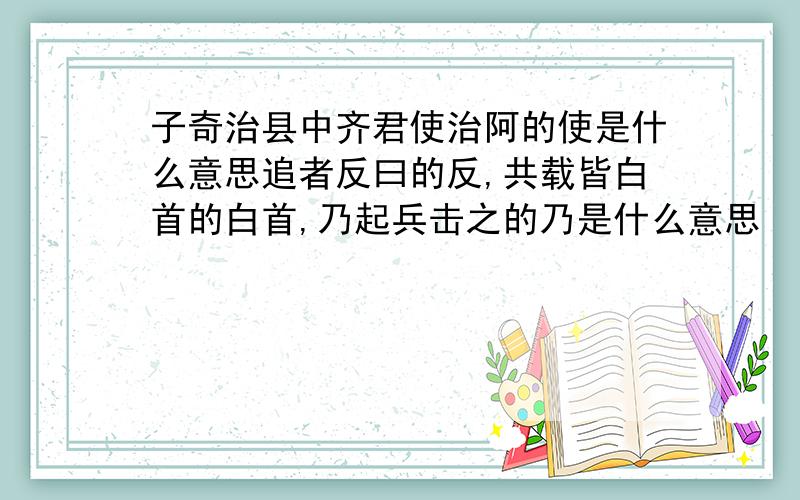 子奇治县中齐君使治阿的使是什么意思追者反曰的反,共载皆白首的白首,乃起兵击之的乃是什么意思