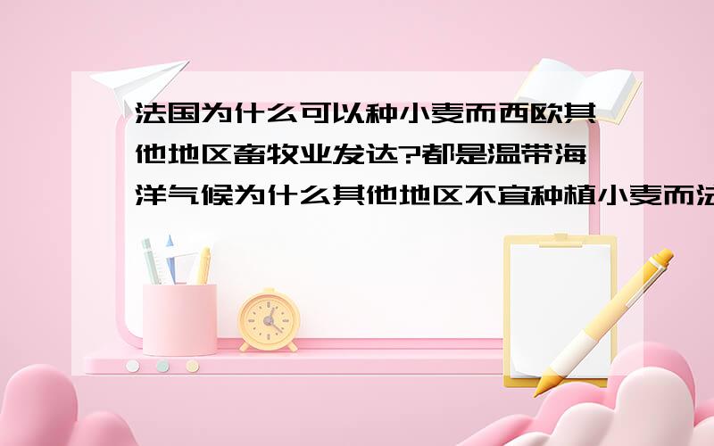 法国为什么可以种小麦而西欧其他地区畜牧业发达?都是温带海洋气候为什么其他地区不宜种植小麦而法国的小麦种植非常发达?