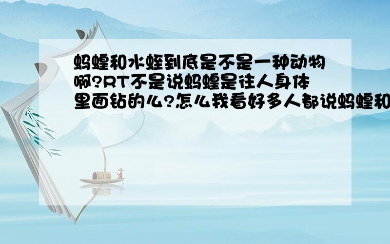 蚂蝗和水蛭到底是不是一种动物啊?RT不是说蚂蝗是往人身体里面钻的么?怎么我看好多人都说蚂蝗和水蛭是一种生物啊?