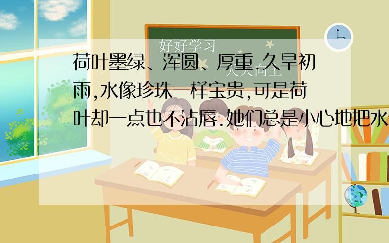 荷叶墨绿、浑圆、厚重.久旱初雨,水像珍珠一样宝贵,可是荷叶却一点也不沾唇.她们总是小心地把水保存起来,留给湖中的鱼儿.风雨袭来,它们紧密团结,连成一片,不怕风吹雨打,就是身子翻过来