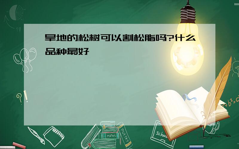 旱地的松树可以割松脂吗?什么品种最好