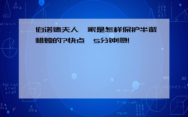 伯诺德夫人一家是怎样保护半截蜡烛的?快点,5分钟!急!