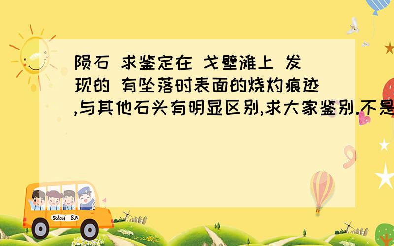 陨石 求鉴定在 戈壁滩上 发现的 有坠落时表面的烧灼痕迹,与其他石头有明显区别,求大家鉴别.不是挖的,好像是经过雨冲后,就在隔壁摊面上.