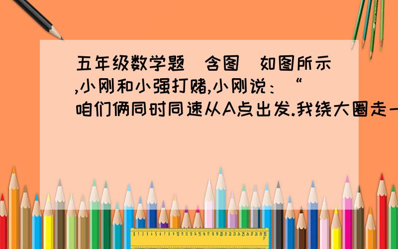 五年级数学题（含图）如图所示,小刚和小强打赌,小刚说：“咱们俩同时同速从A点出发.我绕大圈走一周,你绕两个小圈的圆周走,看谁先回到起点”小强说：“我一定先到,赢家一定是我.”小