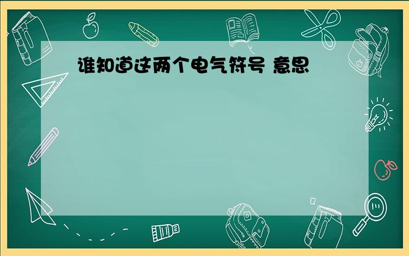 谁知道这两个电气符号 意思