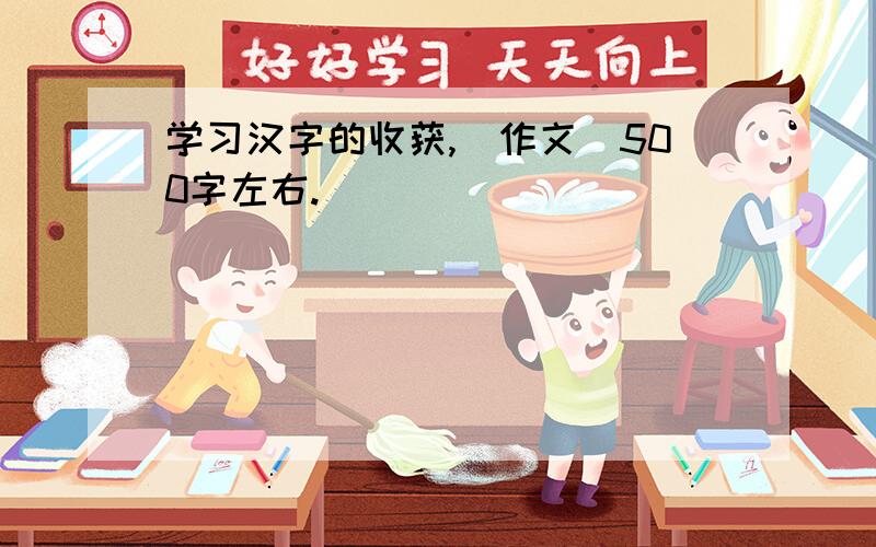 学习汉字的收获,（作文）500字左右.